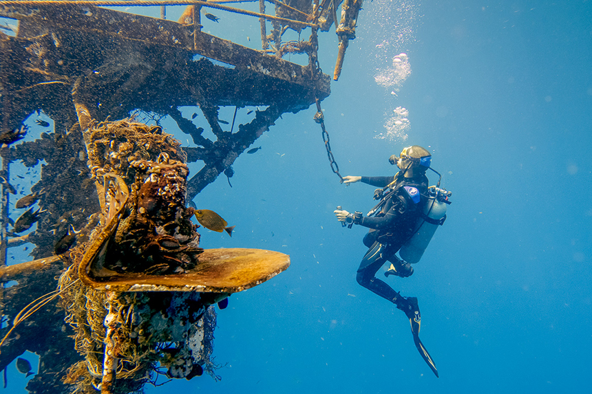 Diving in Koh Kood