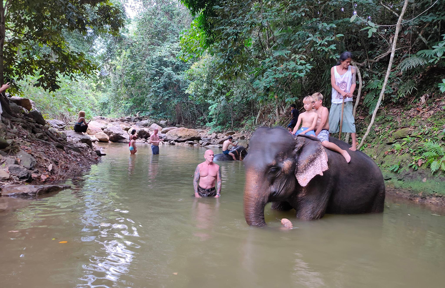 Elephant Trek Ban Kwan Chang