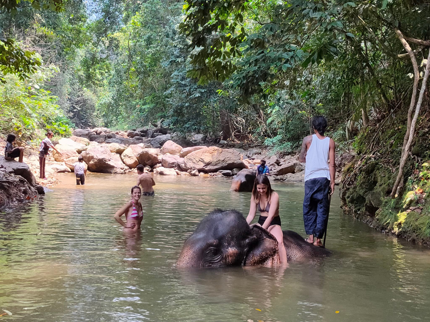 1 Hour elephant trek