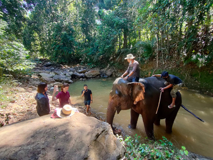 1 Hour elephant trek